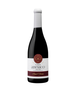 Casa Américo Tinto 17° 75 Cl